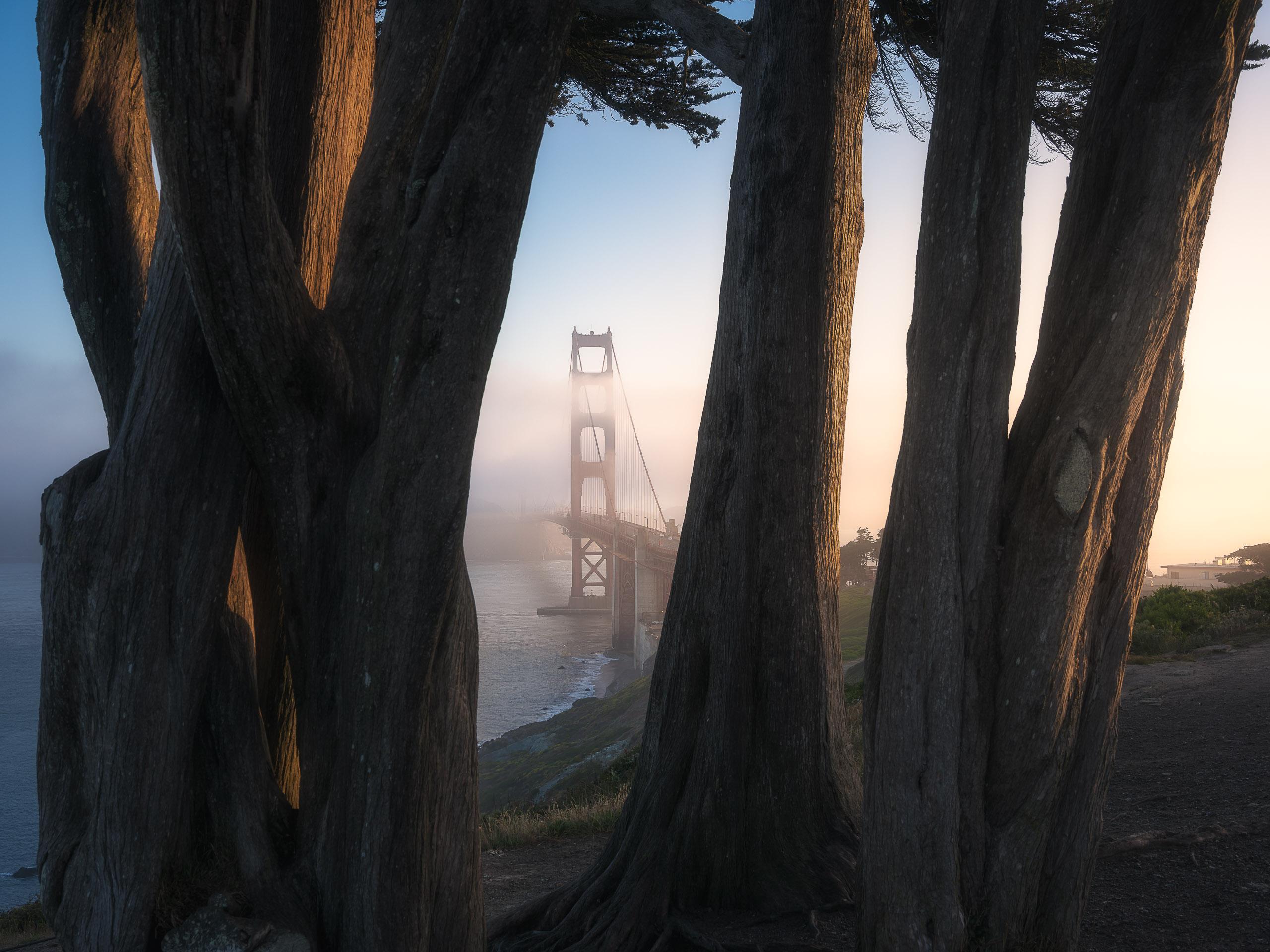 Golden Gate Bridge sunrise