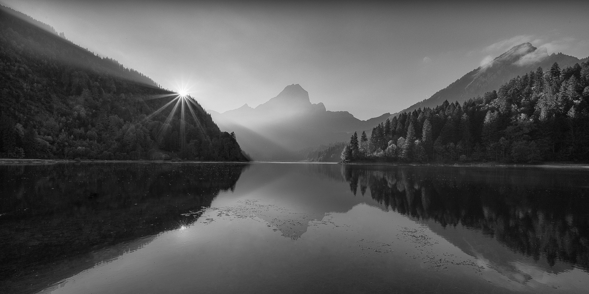 Obersee Monochromatic Sunset